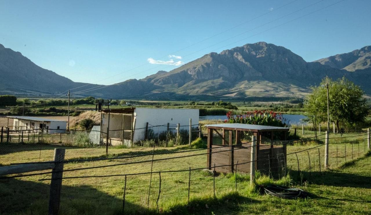 Reflections Guest Farm Bauernhof Tulbagh